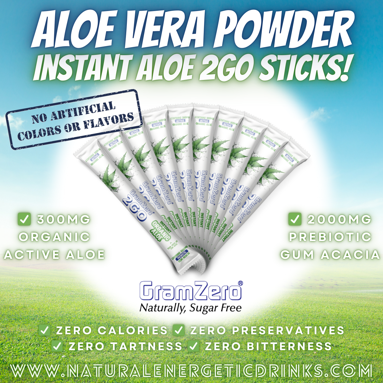 Pure Aloe Vera Drink Mix 🌱 Instant Organic Aloe Powder 2GO Sticks